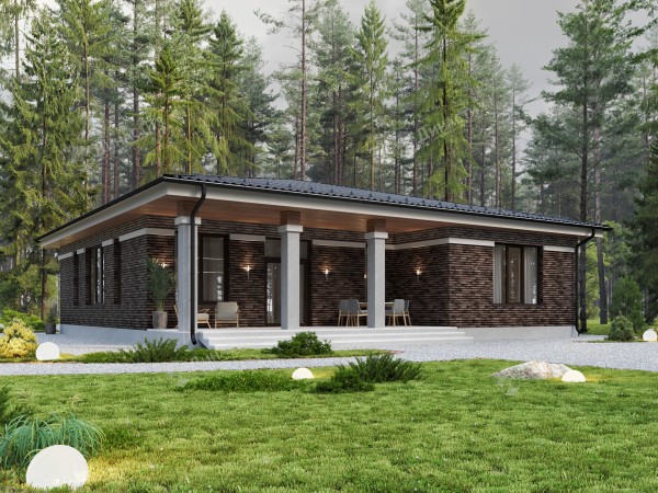 Дом из камня D-776